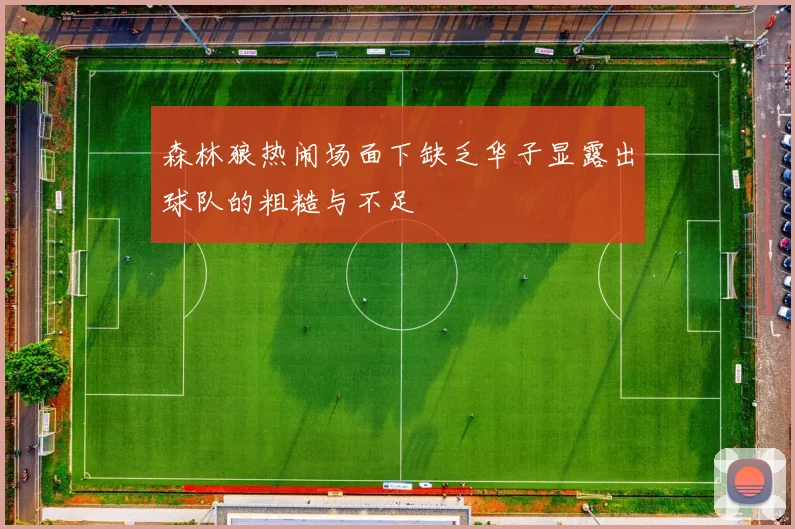 森林狼热闹场面下缺乏华子显露出球队的粗糙与不足