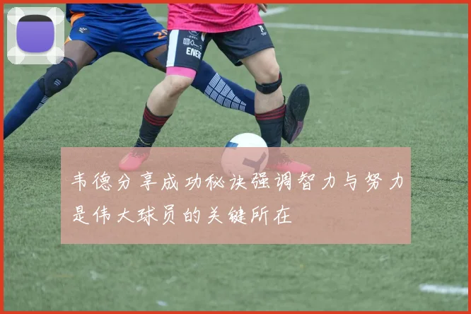 韦德分享成功秘诀强调智力与努力是伟大球员的关键所在