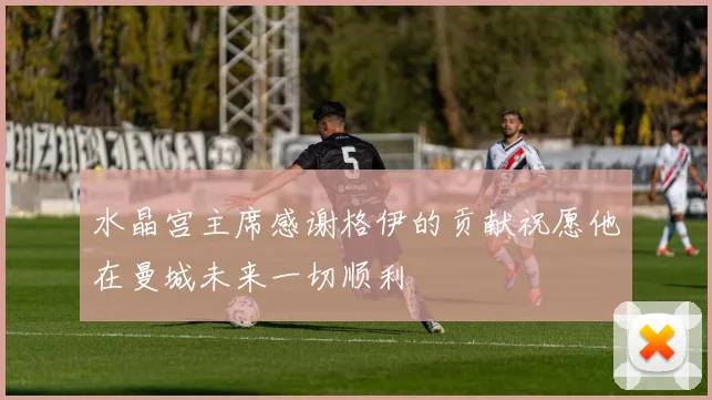 水晶宫主席感谢格伊的贡献祝愿他在曼城未来一切顺利